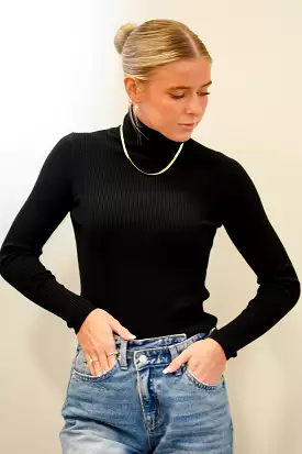 Raegan Rib Turtleneck Pullover