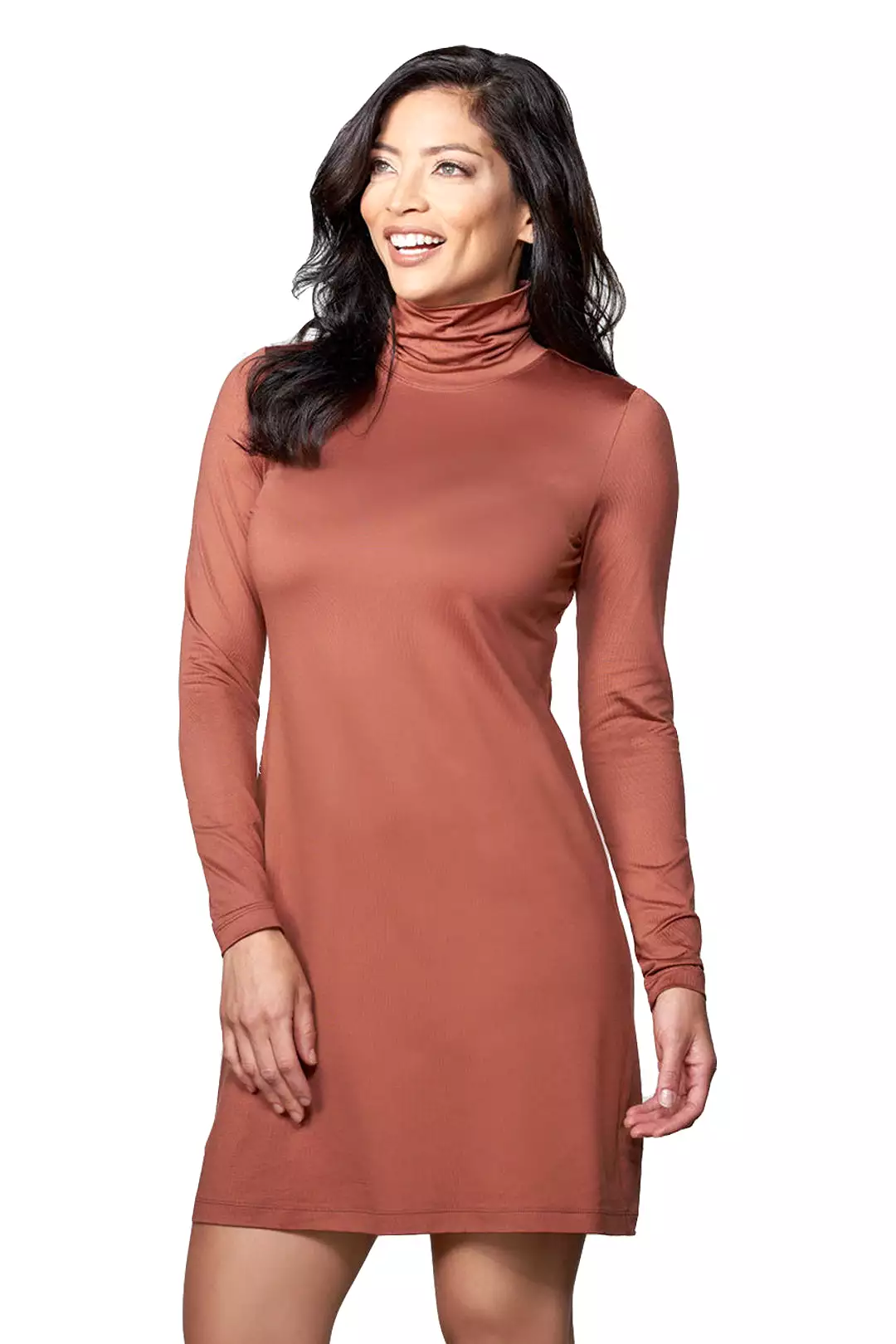 The Turtleneck Dress