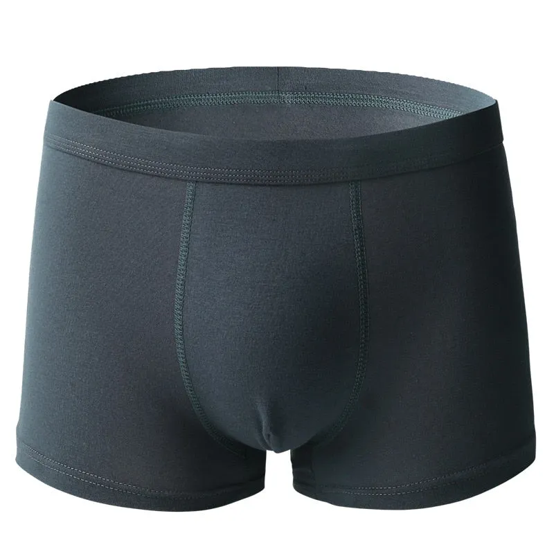 Underwear Cotton Boxer Shorts